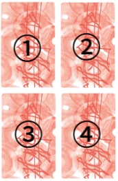 타로 카드 스프레드
